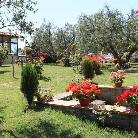 Bed & Breakfast L'amicizia Montefiascone